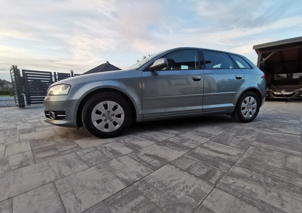 Audi A3 cena 30500 przebieg: 194000, rok produkcji 2010 z Dębica małe 596